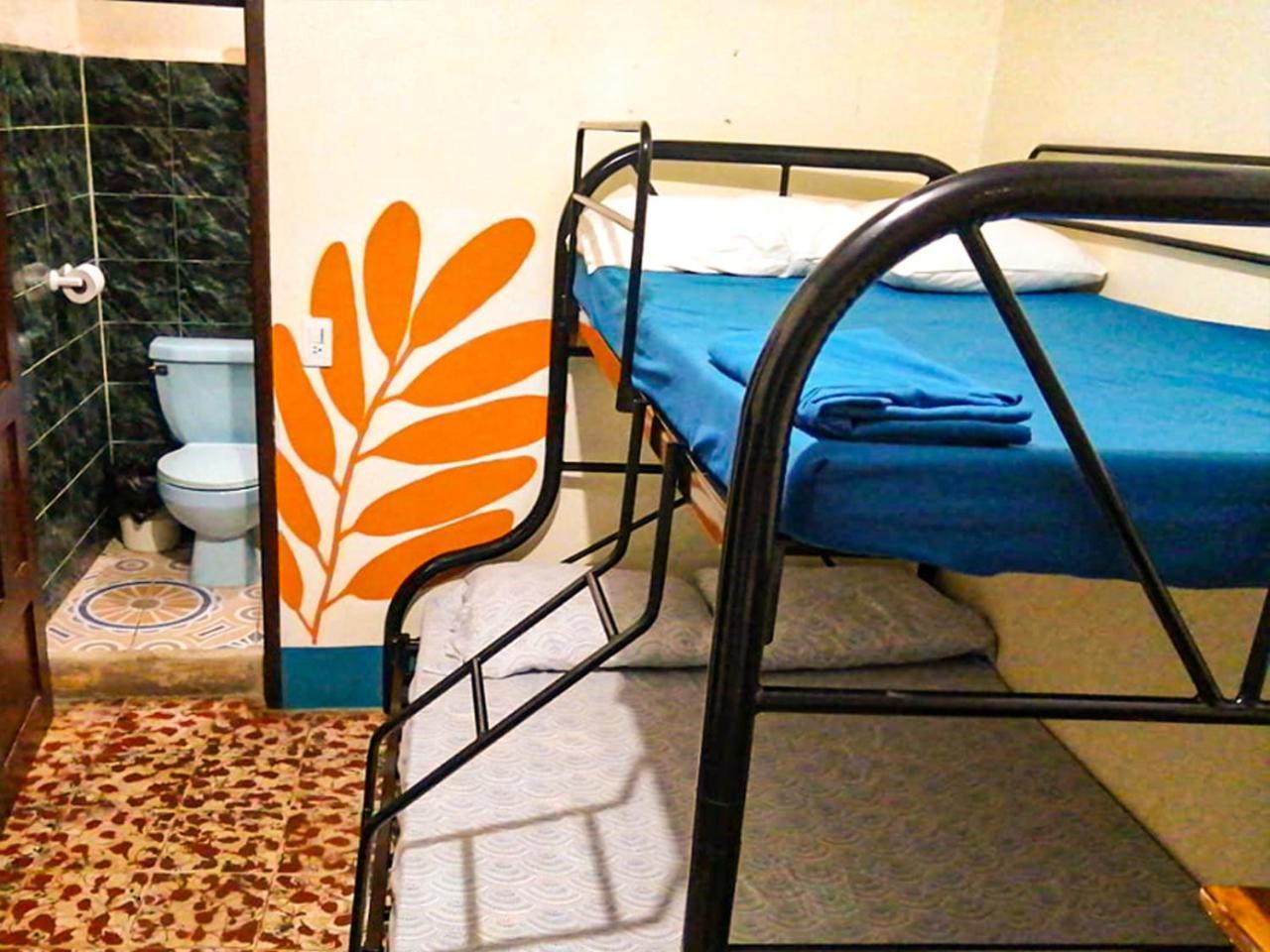 Hostal El Rio León 外观 照片